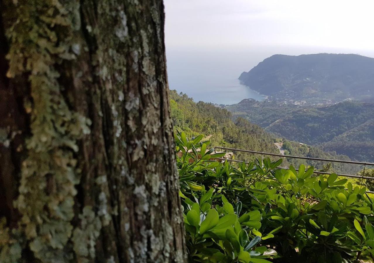 Santuario Ns Soviore Cinque Terre Monterosso al Mare Exterior photo